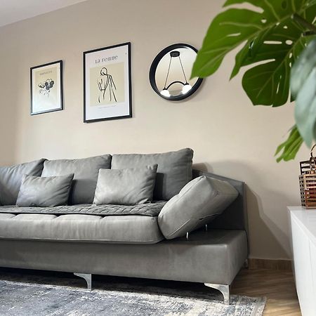 New Modern Tirana Apartment Dış mekan fotoğraf